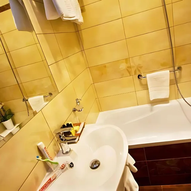 غرفة اقتصادية ثلاثية، Danubia Gate Hotel 5/5
