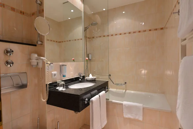Standard, Convertible Double Bed, Balcony، Best Western Plus Hotel Erb 7/7