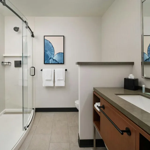 غرفة بسرير كينج بحوض استحمام لذوي الإعاقة، Courtyard By Marriott San Luis Obispo 5/6