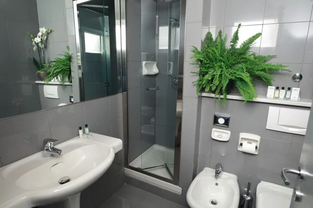 غرفة سوبيريور بسريرين منفصلين، Mediolanum Hotel 9/10