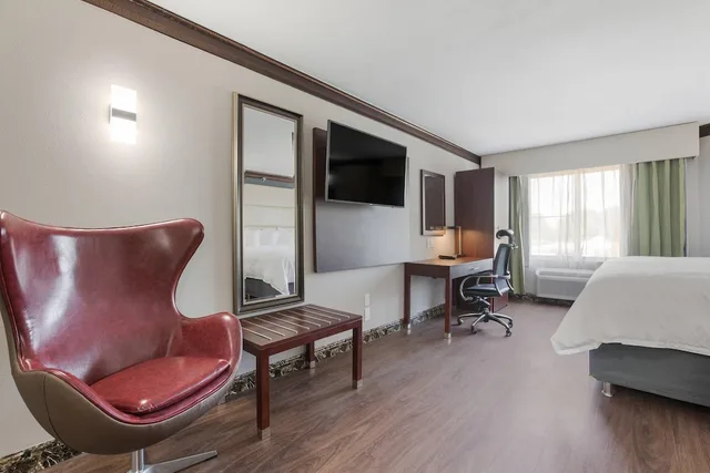 Suite, King Bed, The Leo Collection Detroit, an Ascend Collection Hotel 7/10