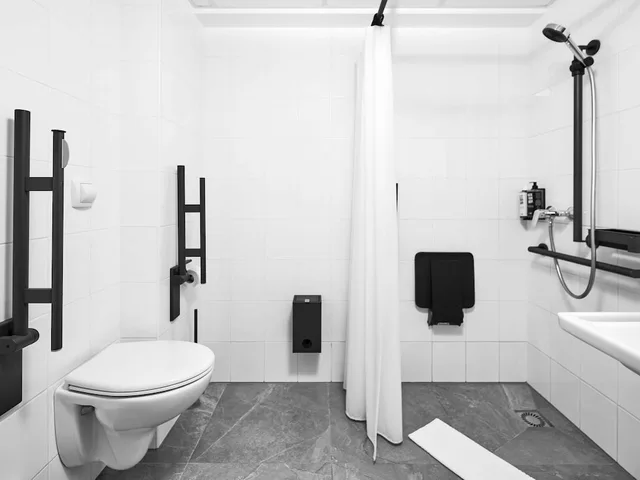 Renovated, Superior, Double Bed, Accessible، Ibis Praha Wenceslas Square Hotel 7/9