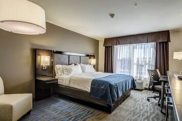 غرفة قياسية بسرير كينج، Holiday Inn Express Hotel & Suites St. Louis West-O Fallon 5/8