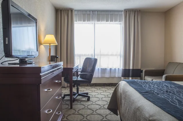 غرفة قياسية بسرير كوين، Comfort Inn London Wellington Road 8/8
