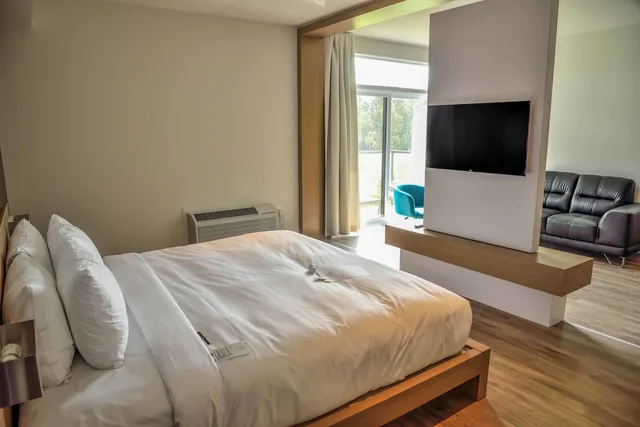Suite, King Bed, Sofa, La Cache Du Golf 1/3