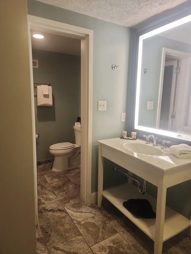 غرفة ديلوكس بسرير كينج، Natural Bridge Hotel, Trademark Collection by Wyndham 9/9