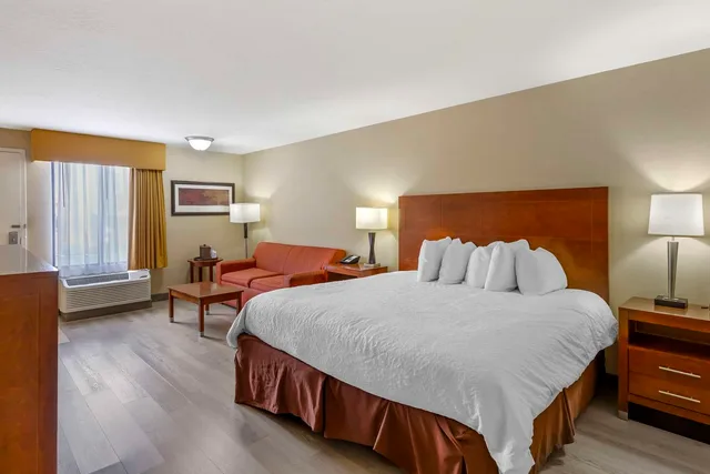 غرفة بسرير كينج مع أريكة يُسمح فيها بالحيوانات الأليفة، Best Western Cottontree Inn 1/3