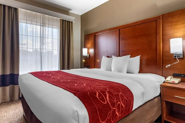 جناح بسرير كينج، Comfort Suites Shreveport West I-20 1/1