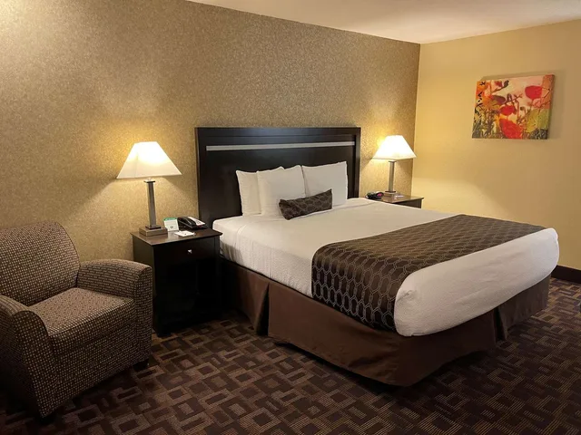 Room, King Bed, Pet Friendly, Best Western Plus Pleasanton Inn 4/8