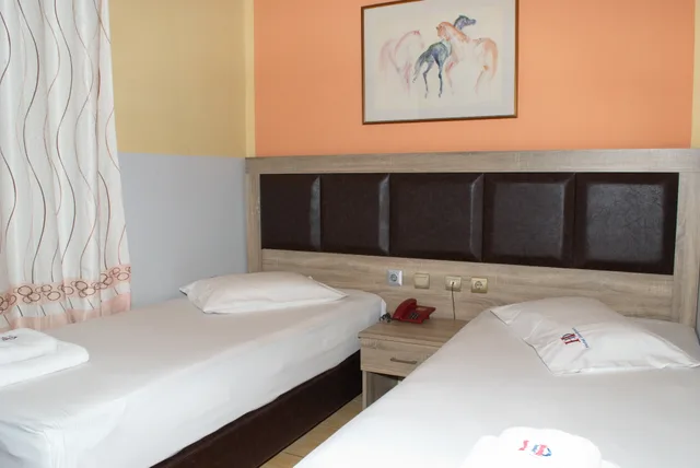 غرفة كلاسيكية بسرير مزدوج أو سريرين منفصلين، DIETHNES HOTEL 5/7