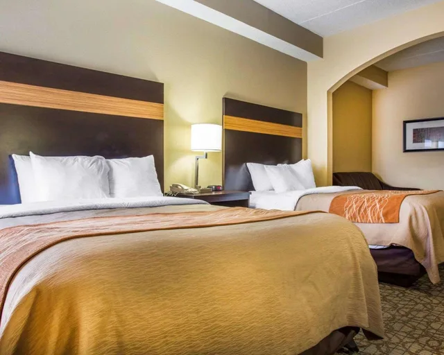 Suite, Queen Bed, Comfort Inn Suites At Stone Mountain 3/6