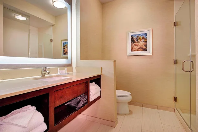 استوديو بسرير كينج مع أريكة، Fairfield Inn & Suites San Diego Carlsbad 3/4