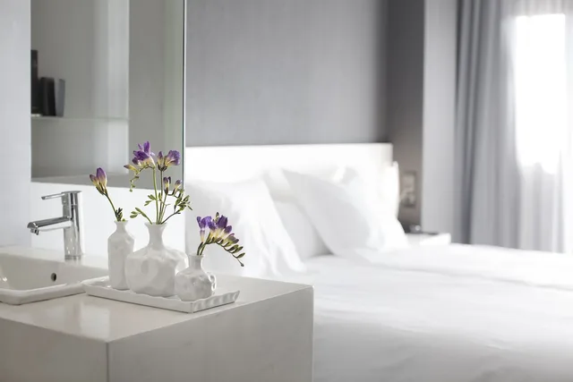 غرفة قياسية بسريرين منفصلين، Hotel Masmonzon 9/10