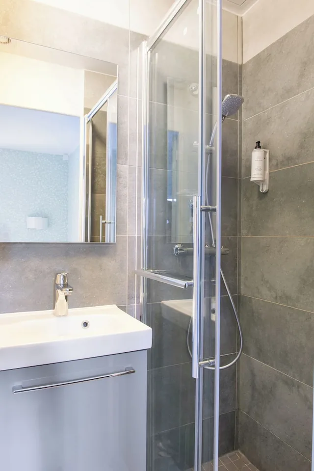 غرفة بزنس بسرير فردي، Hotel Avama Prony 7/7