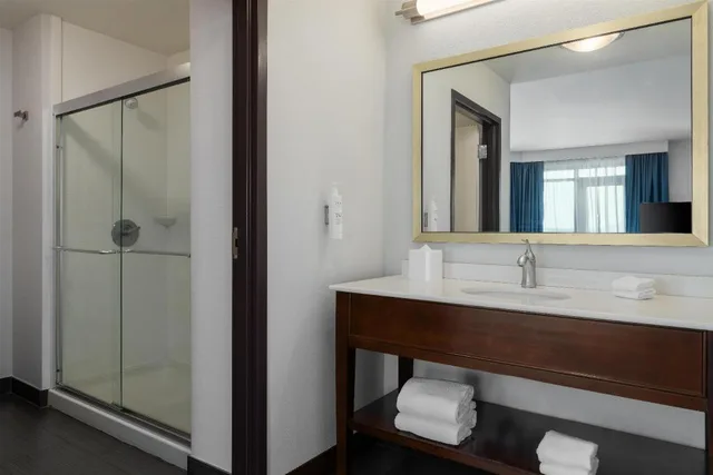 استوديو ركني بسرير كينج بإطلالة على المدينة مع أريكة، Hampton Inn And Suites Roanoke-Downtown 4/5