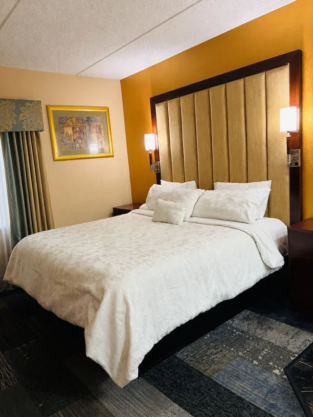 جناح بسرير كينج بجاكوزي، Hotel M Mount Pocono 5/10