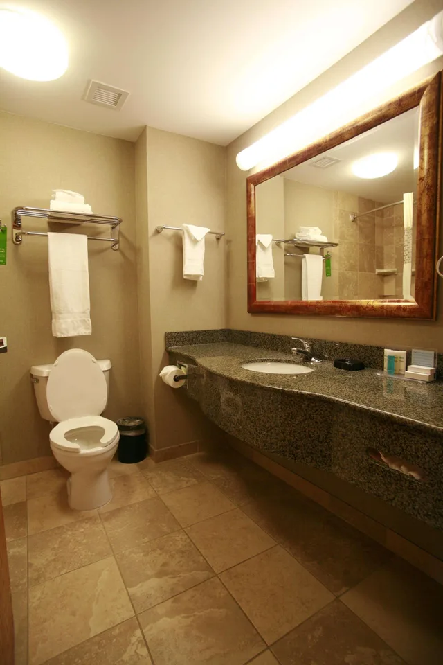 Studio, King Bed, SouthShore Hotel on Lake Bemidji, Trademark Coll by Wyndham 3/3