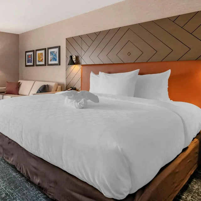 غرفة ديلوكس بسرير كينج بحوض استحمام، Clarion Inn Nashua, NH 1/4