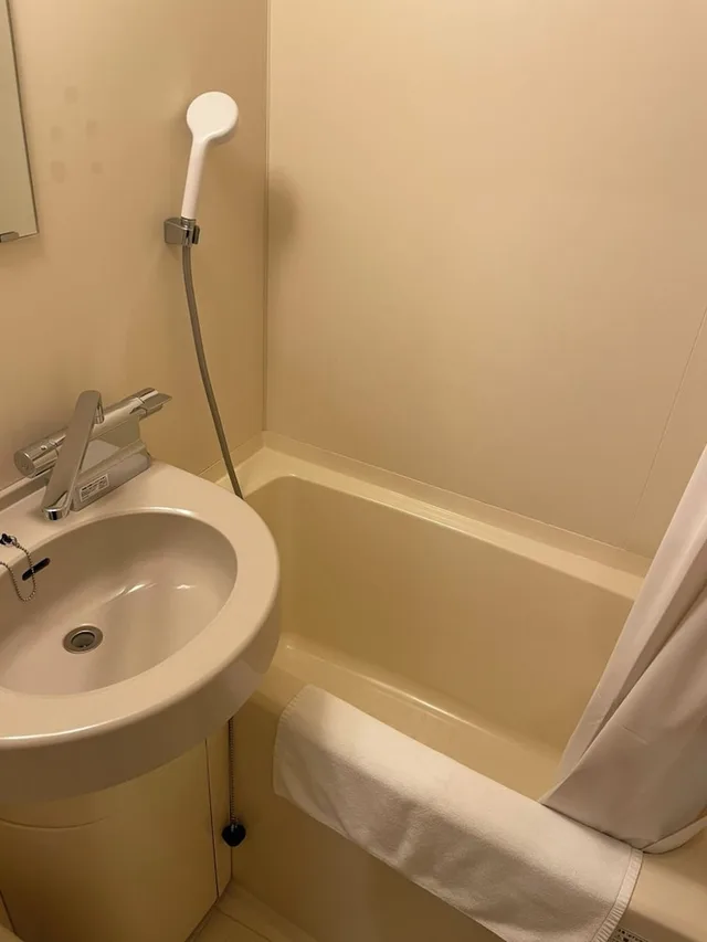 Moderate, Double Bed، Dormy Inn Niigata Natural Hot Spring 2/4