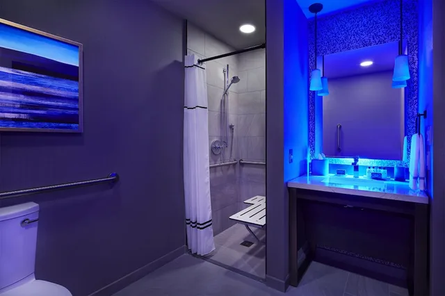 Premium, King Bed, Accessible, INTERCONTINENTAL MINNEAPOLIS - ST. PAUL AIRPORT 5/6