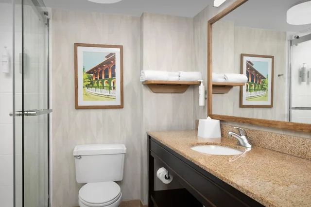 Room, King Bed, Bath and Shower، Hampton Inn Fayetteville Fort Bragg 2/2