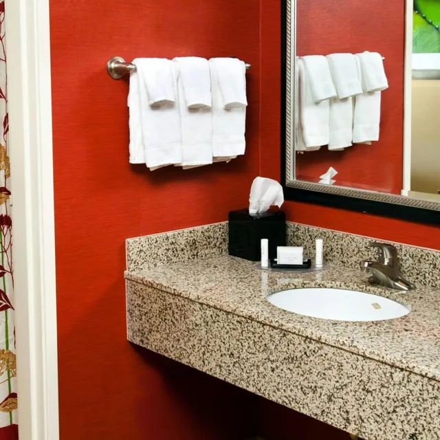 غرفة كبيرة بسرير كينج مع أريكة لذوي الإعاقة، Courtyard By Marriott La Crosse 4/5