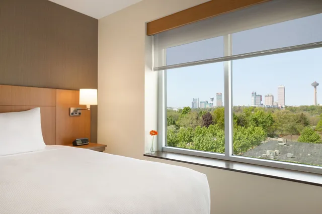 غرفة بسرير كينج مع أريكة، Hyatt Place Niagara Falls 1/2