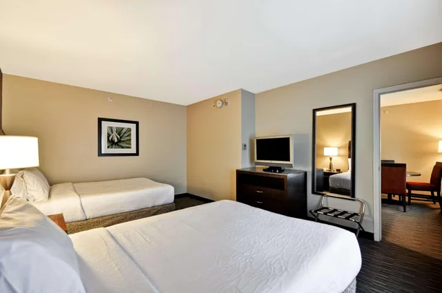 1 Bedroom, Suite, Hilton Garden Inn Tampa North 1/2