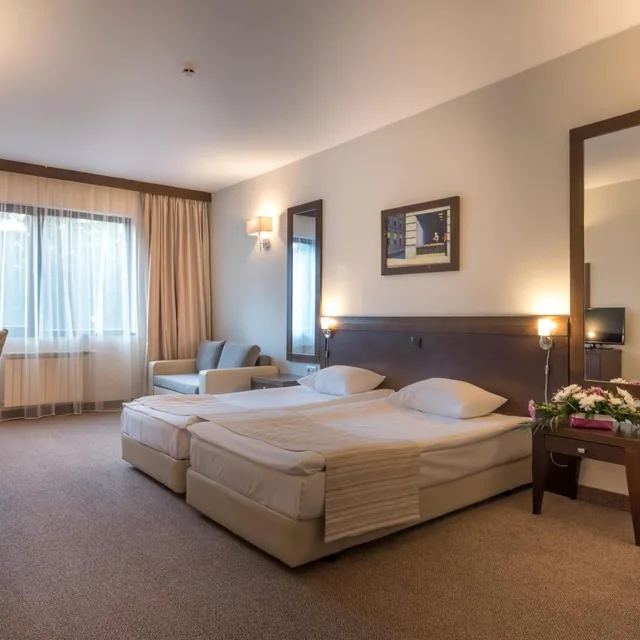 غرفة بسرير فردي، Lion Hotel Borovets 3/6