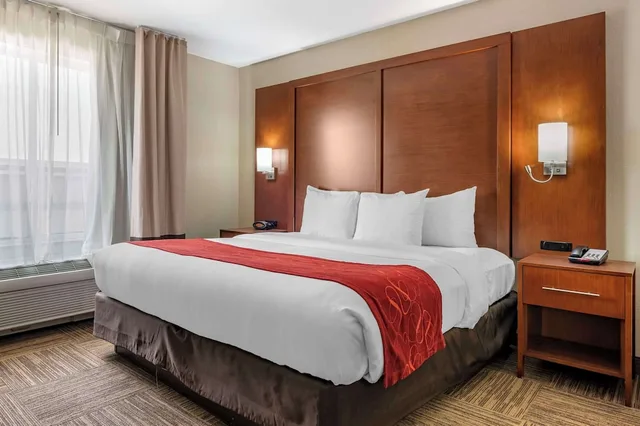 جناح تنفيذي بسرير كينج، Comfort Suites Urbana Champaign University Area 1/10