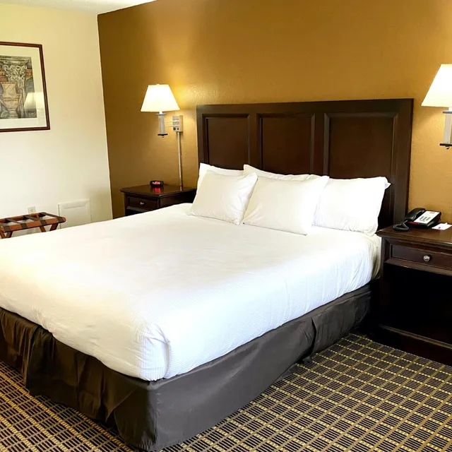 غرفة بسرير كينج لذوي الإعاقة، Roadstar Hotel Zephyrhills 2/7