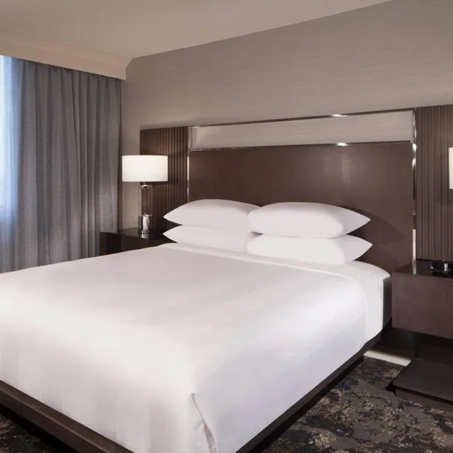 Room, King Bed, Allergy Friendly، Dallas Fort Worth Airport Marriott 1/9