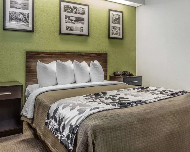غرفة بسرير كوين مع أريكة، Sleep Inn at Greenville Convention Center 1/10