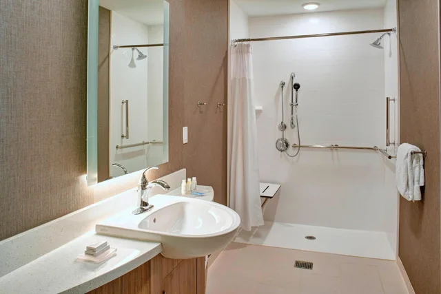 استوديو بسرير كينج مع أريكة، Springhill Suites Grand Rapids West 3/10