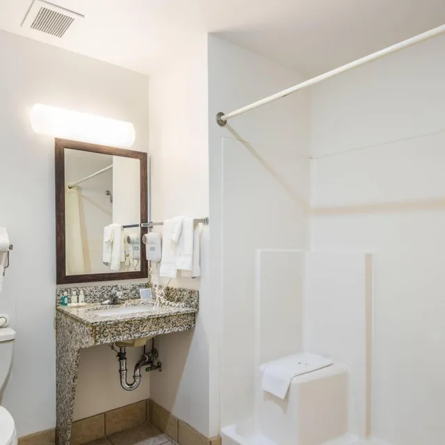 جناح بسرير كينج مع أريكة، Quality Inn & Suites Eldridge Davenport North 6/8