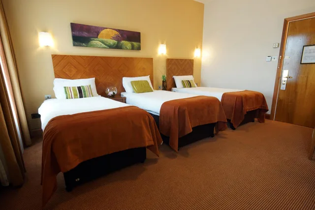 غرفة ثلاثية، Treacys Hotel Waterford 6/8
