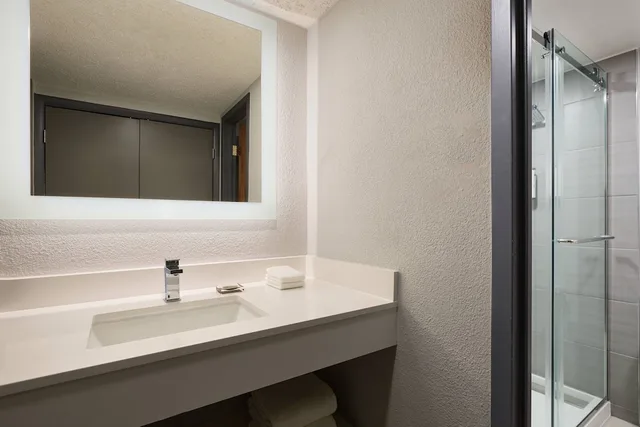 غرفة بسرير كينج بحوض استحمام لذوي الإعاقة، El Paso Marriott 2/3