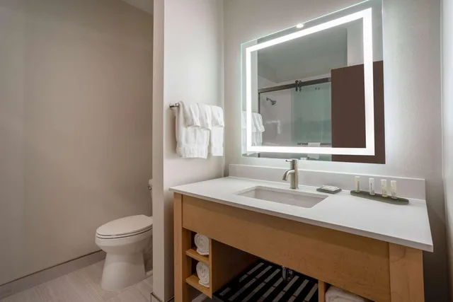 Suite, King Bed, Sofa, La Quinta Inn & Suites by Wyndham Pflugerville 4/4