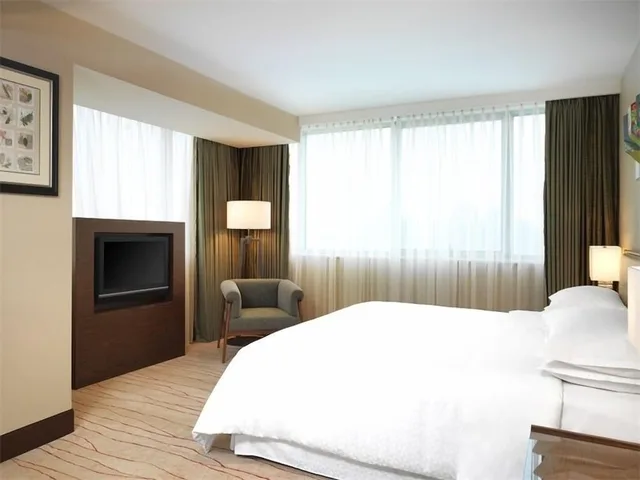 جناح بسرير كينج بإطلالة على المدينة بغرفة نوم واحدة، Four Points By Sheraton Shanghai Daning 2/8
