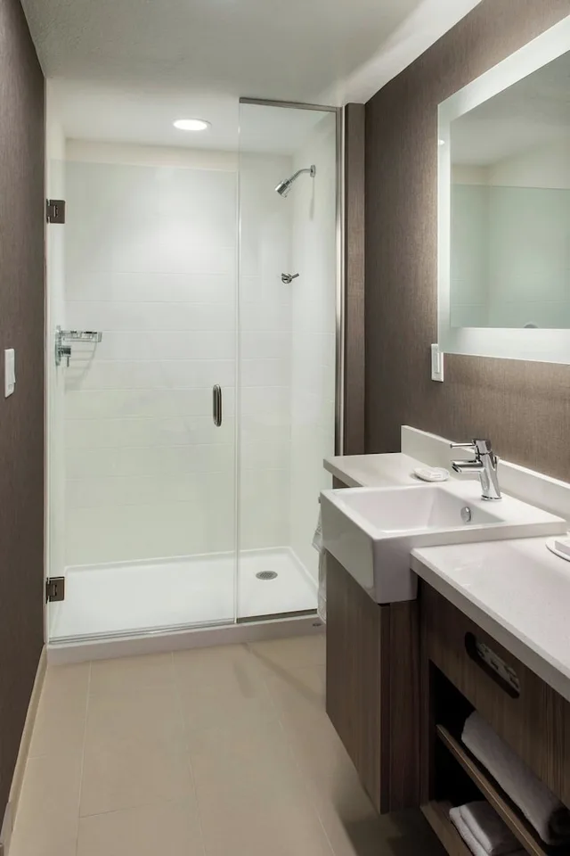 جناح بغرفة نوم واحدة لذوي الإعاقة، SpringHill Suites by Marriott Tampa Suncoast Parkway 1/1
