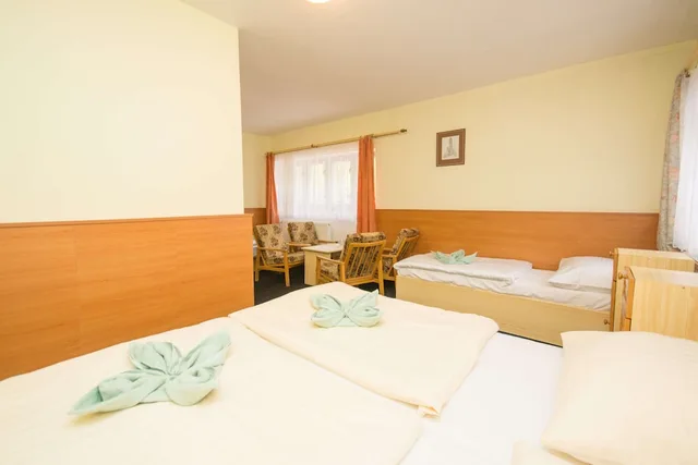 Standard, Quadruple, Double and Twin Beds, Sport Resort Hotel Gejzirpark 2/6