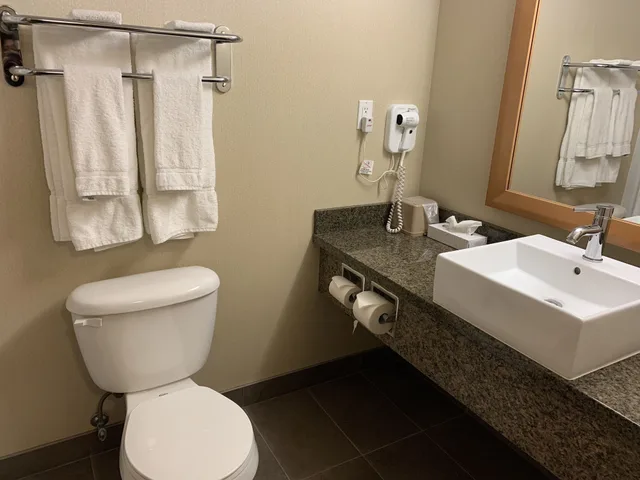 جناح تنفيذي بسريرين كوين، Woodlands Inn Suites 4/4
