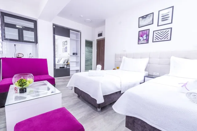 شقة استوديو بسرير مزدوج بشرفة مع أريكة، Astera Apart Hotel 5/10