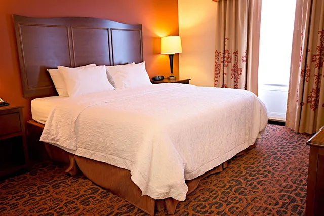 استوديو بسرير كينج مع أريكة لذوي الإعاقة، Hampton Inn Suites Jacksonville 1/5