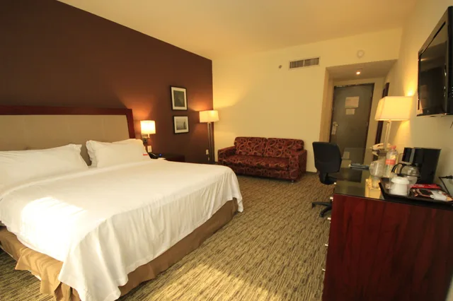 غرفة قياسية بسرير كينج، Holiday Inn Leon 8/10