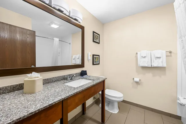 غرفة بسرير كينج يُسمح فيها بالحيوانات الأليفة، Comfort Inn Suites Pueblo 4/4