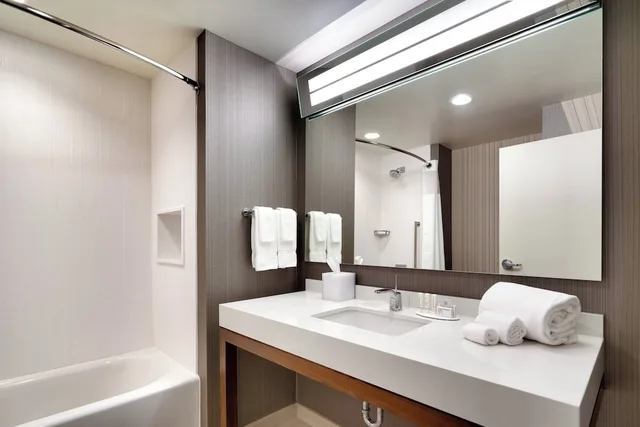 غرفة بسرير كينج مع أريكة لذوي الإعاقة، Courtyard by Marriott Atlanta Duluth Downtown 4/4