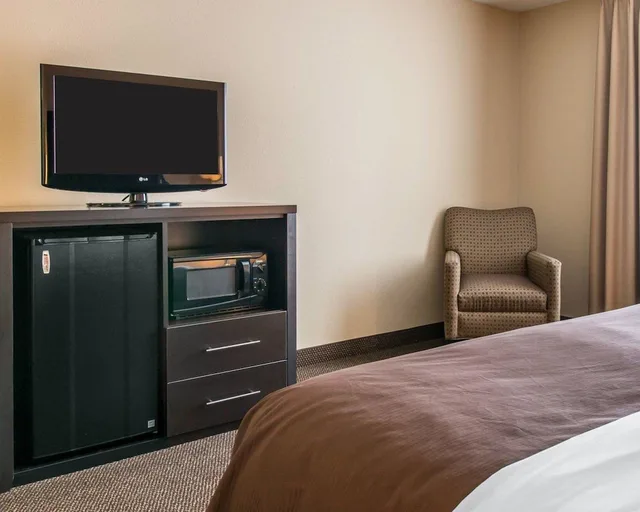 غرفة بزنس قياسية بسرير كينج، Quality Inn and Suites Niles 6/9