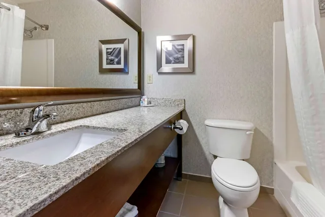Suite, King Bed, Comfort Inn and Suites Market Airport 3/3