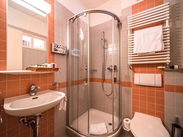 Baroque Style, Single Bed, No Balcony، Hotel Royal St Georges Interlaken MGallery 4/6